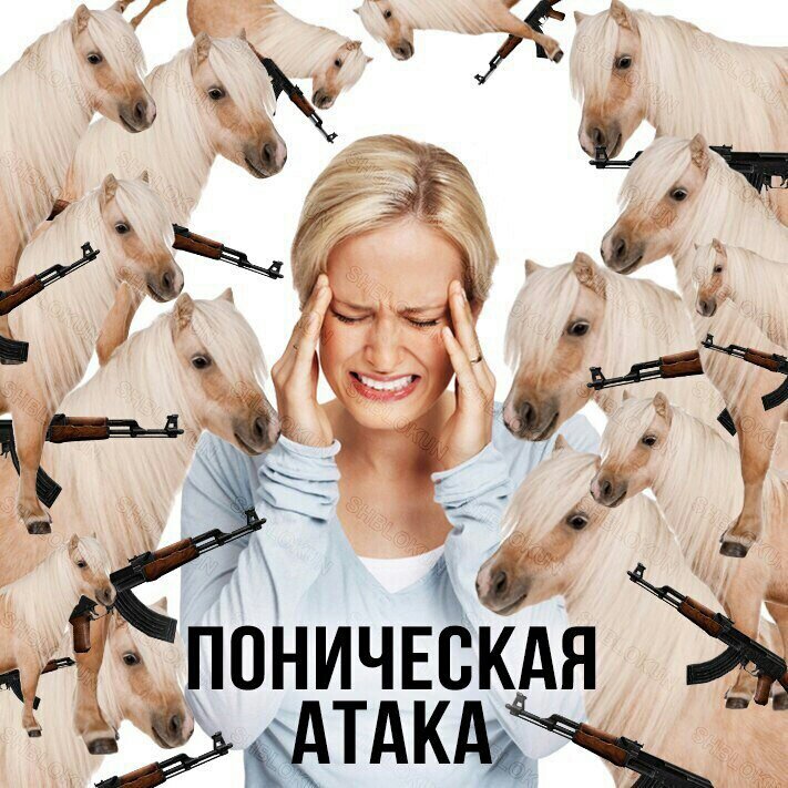 Атака пони или поническая атака - Пони атакуют. Паническая атака - это когда пани атакуют?