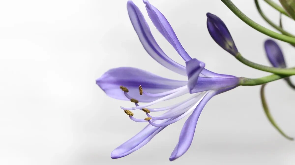 Поиск точки «G» требует терпения. Фото: pxhere.com