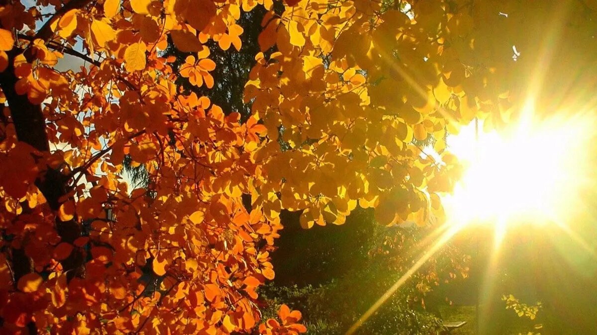 Толчки на уровне магнитосферы все еще ощущаются. Фото: pxhere.com