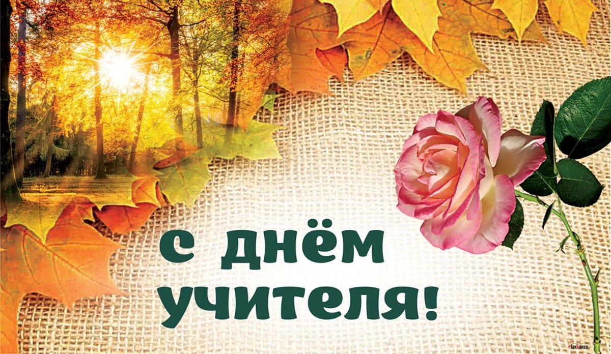 Всемирный день учителя. Иллюстрация: «Курьер.Среда»