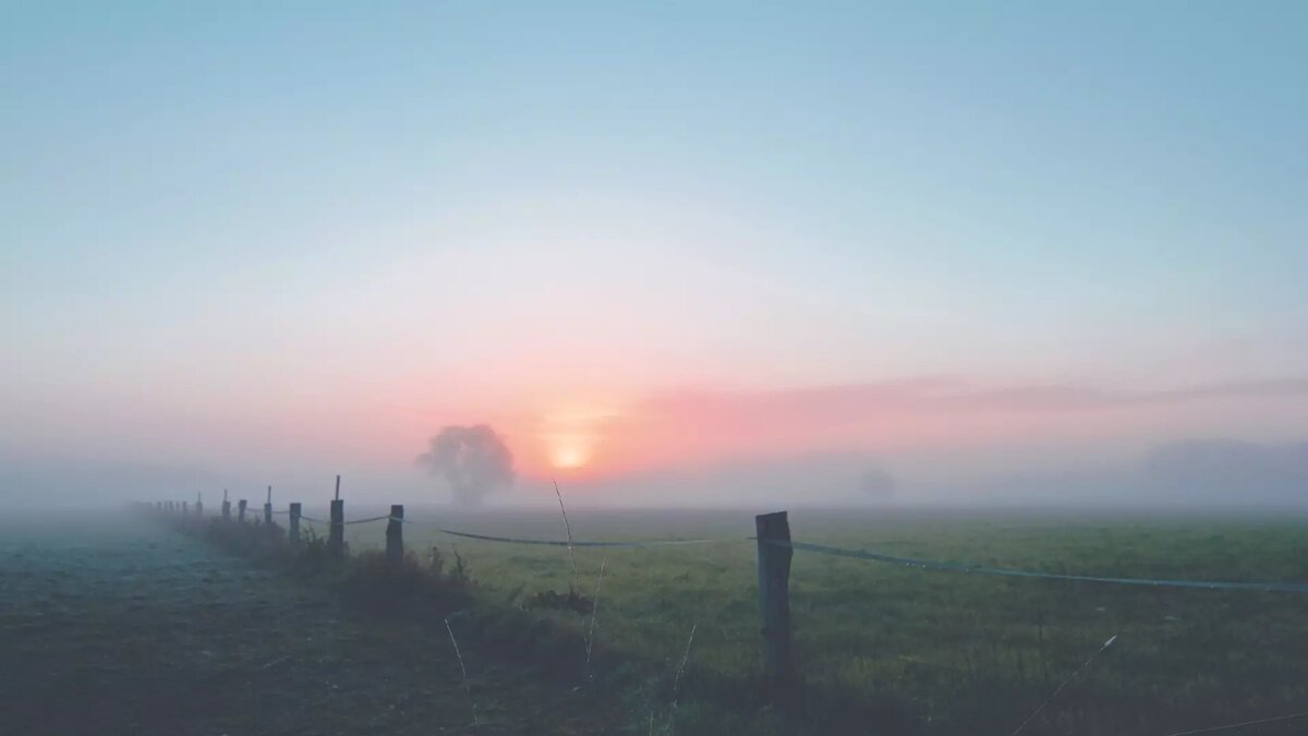     Из-за тумана в Абакане второй день подряд меняется расписание авиарейсов. Самолеты задерживаются на несколько часов.