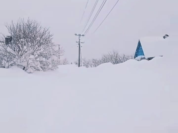 Снег. Сёстры