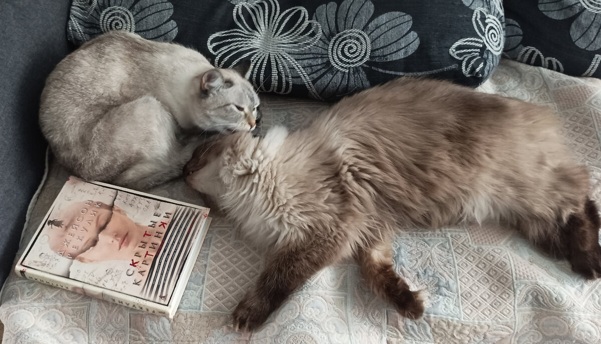 Сегодня читаемую книжку взялись представлять обе наши "девочки" разом, застигнутые в момент так редкой идиллии между ними.