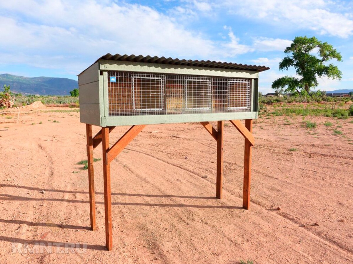   Фото highdeserthomesteader.com