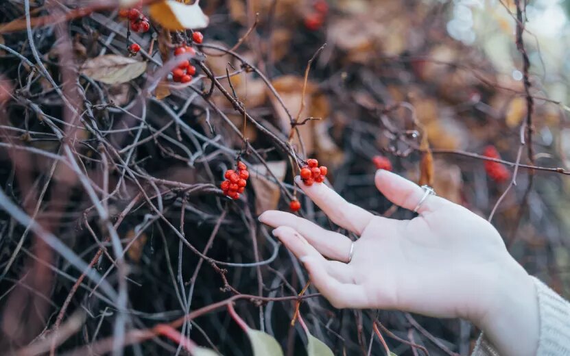    Новости на утро 5 октября: изъятие бара и бомбоубежище в Ижевске
