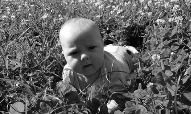 Скрин фото из открытых источников.