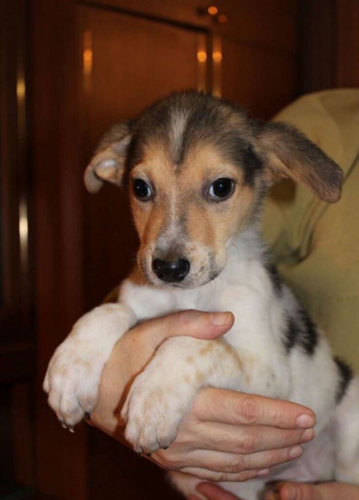 Мия была самой маленькой среди братьев и сестёр. Её лечили от рахита