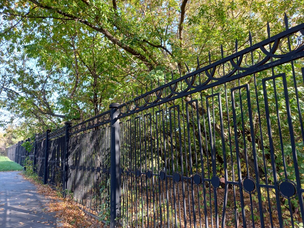 Фото автора.