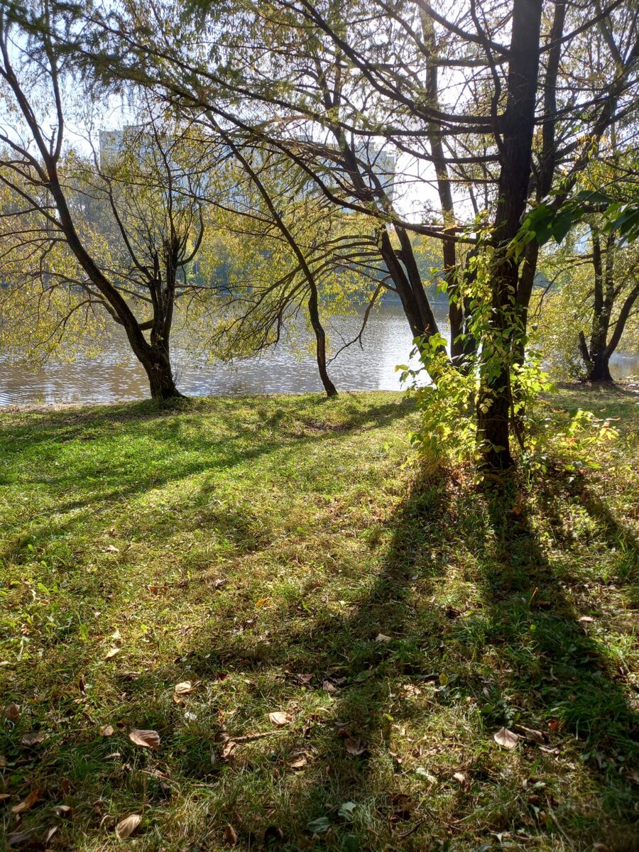 Фото автора.