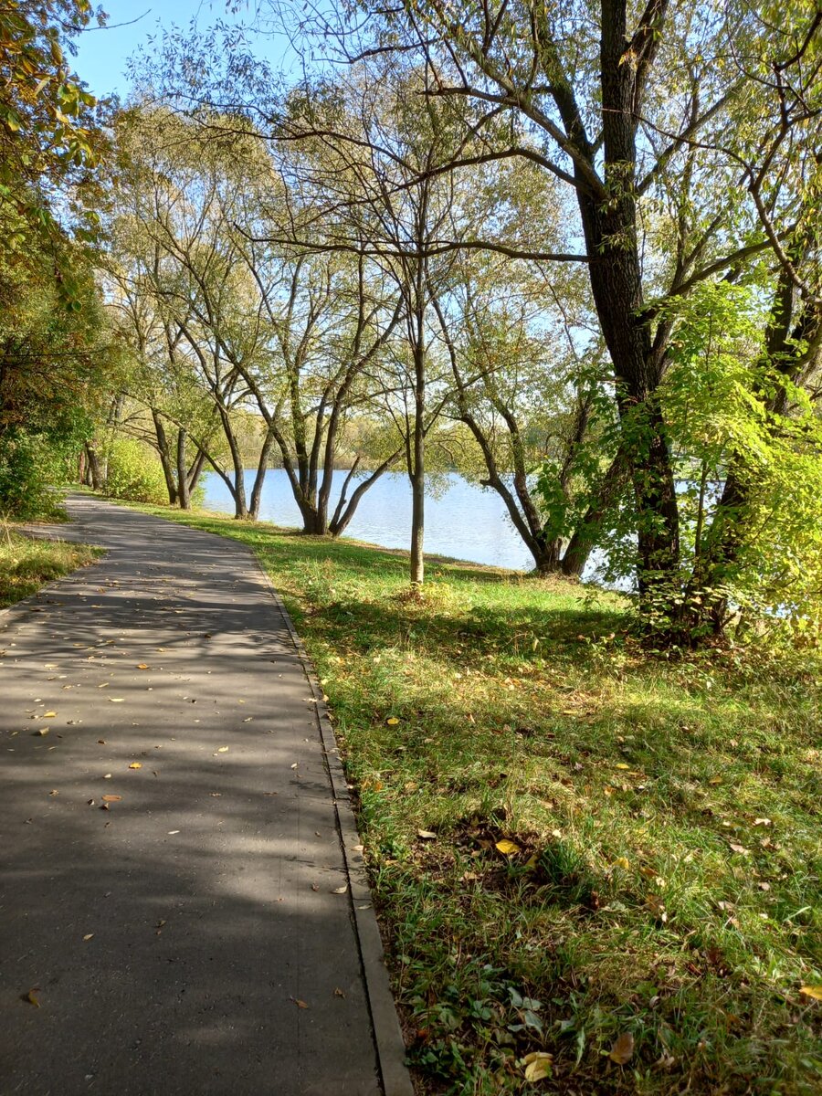 Фото автора.