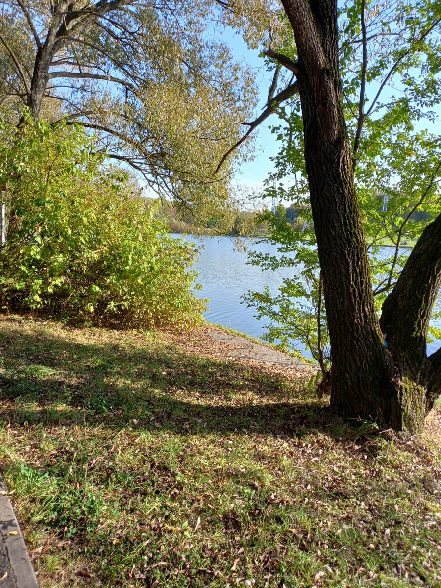 Фото автора.