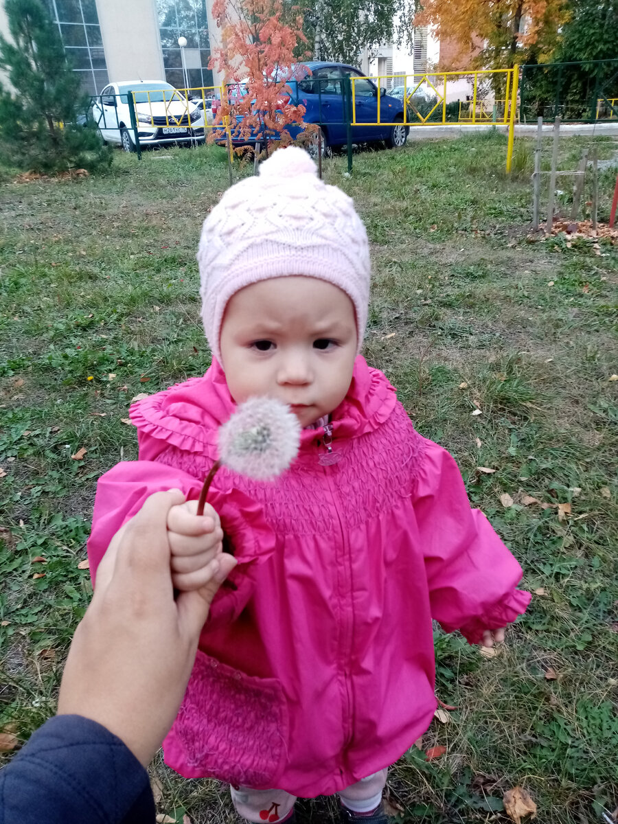 Гуляем после сада
