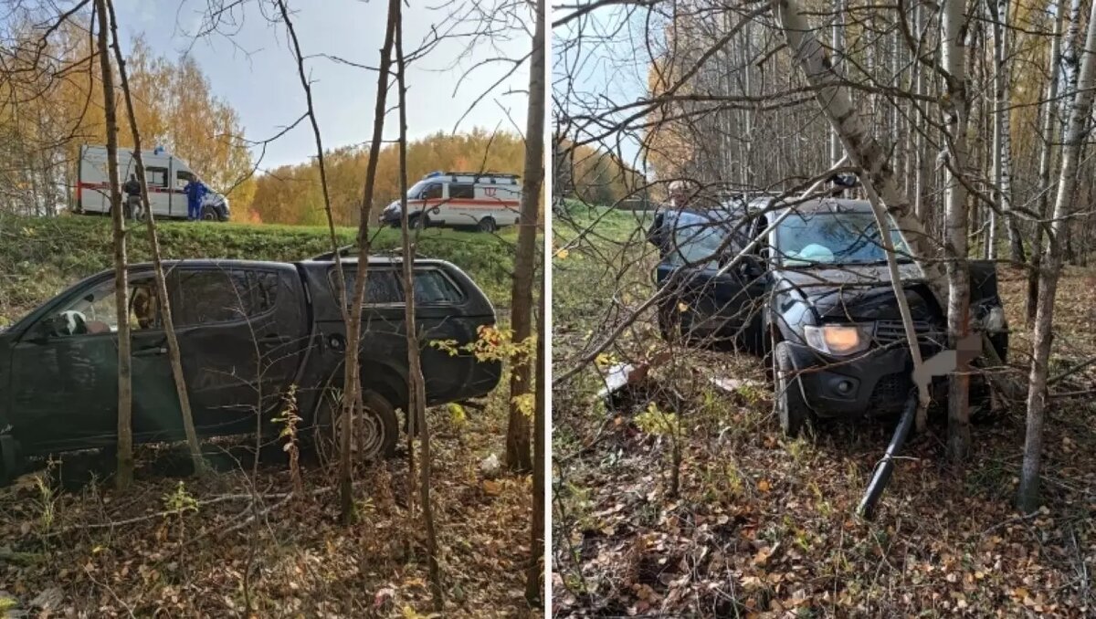     Автомобиль съехал с дороги и врезался в деревья.