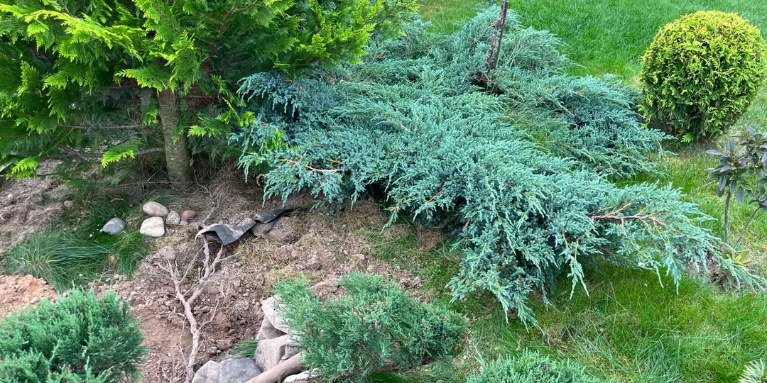 Отсыпка клумб из камня это просто ад