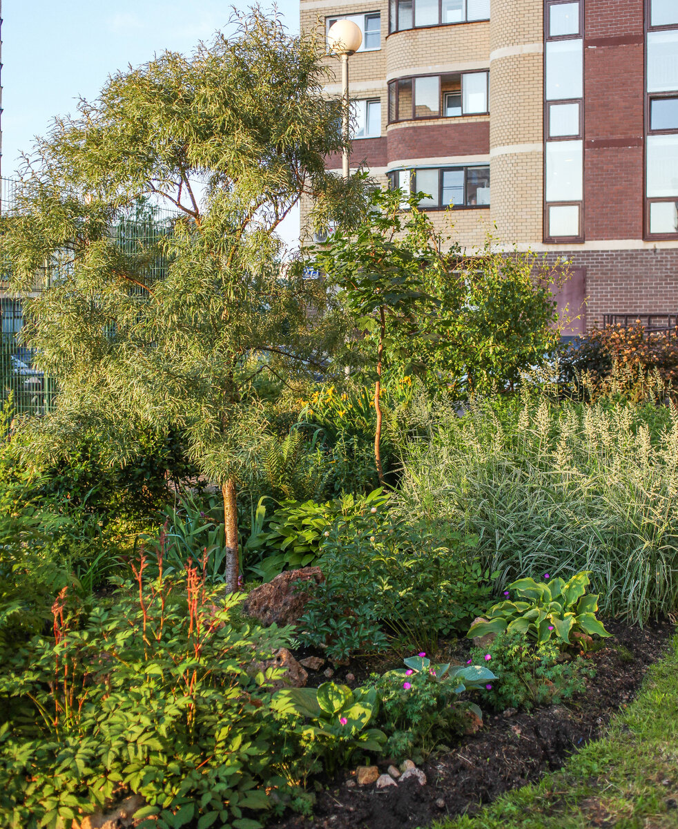 Вид на цветник на закате.