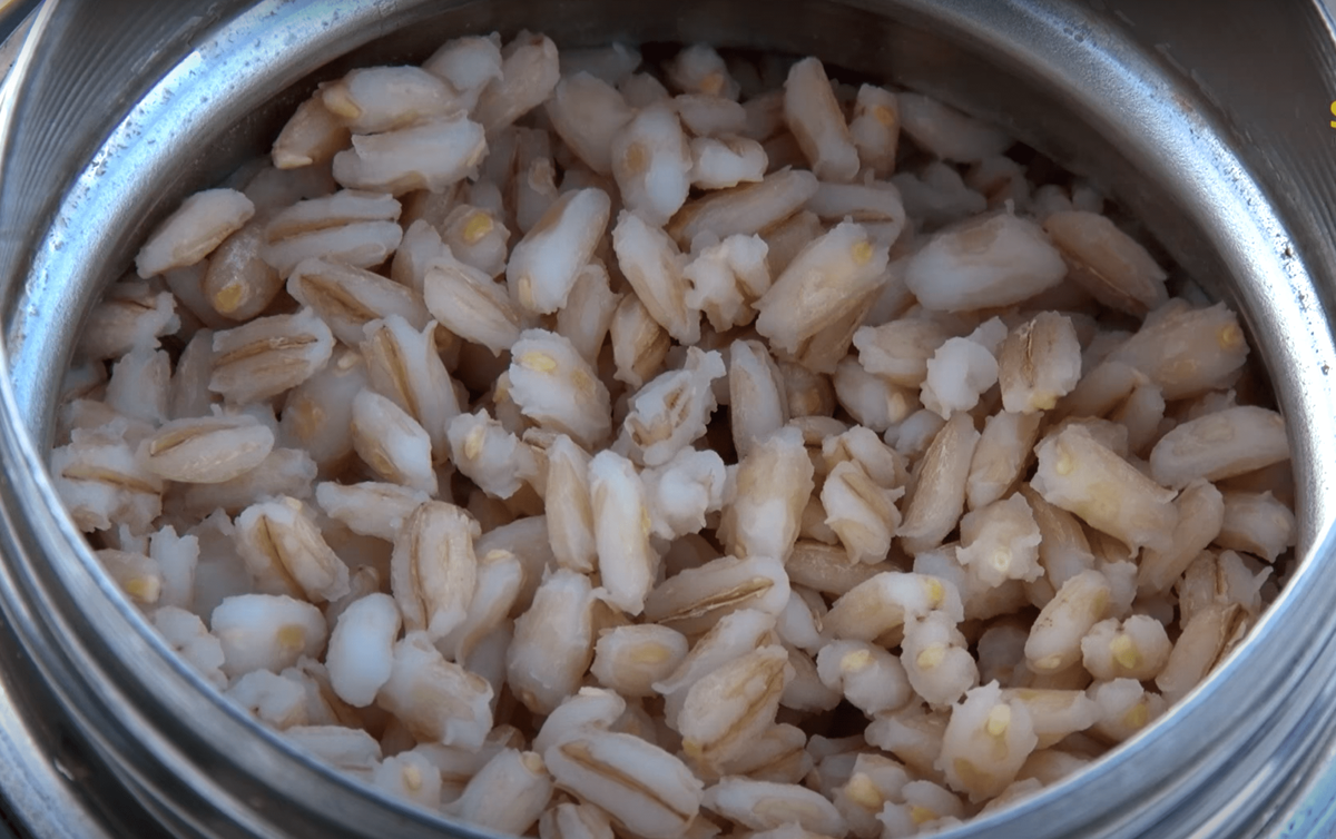 Перловка для рыбалки. Дешево, уловисто, просто.