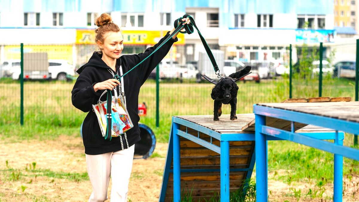    В Югре организовали зоозащитную акцию «Погуляй-ка»