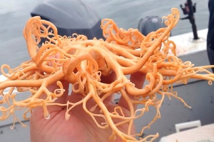 Источник: Instagram 