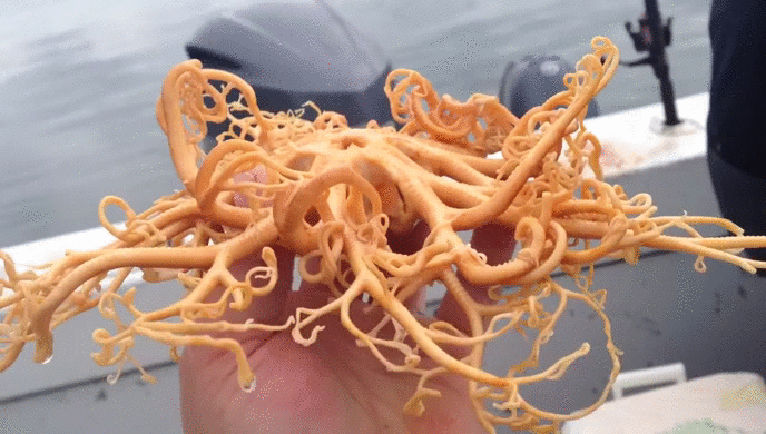 Источник: Instagram 