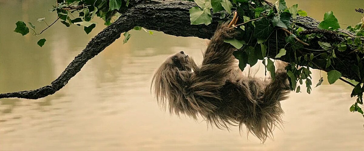 Ну, как смогли, так сделали куклу. Чо пристали. 