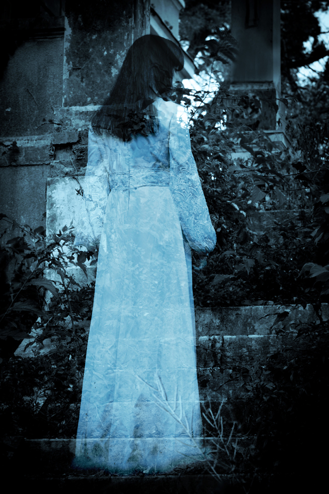 Фото Яндекс картинки.