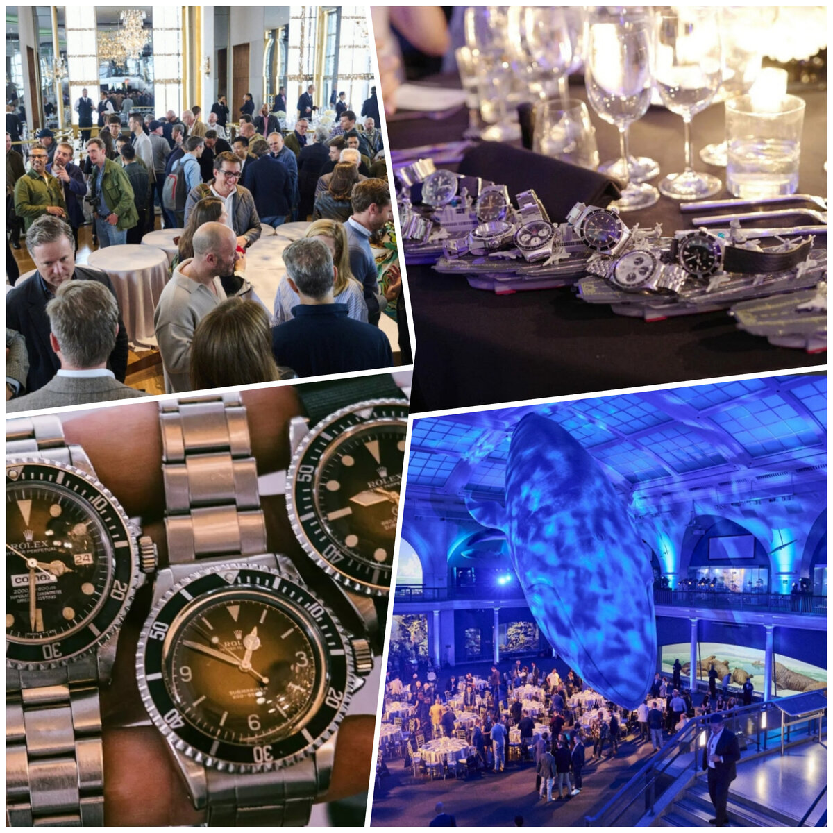 Фото из открытых источников.