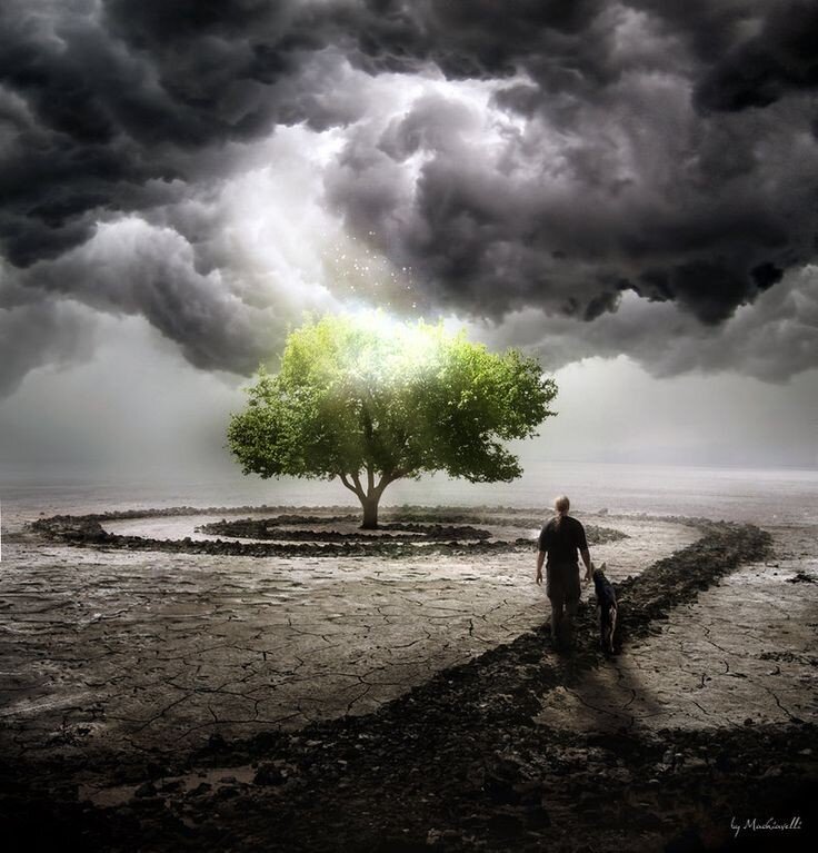 Источник Pinterest