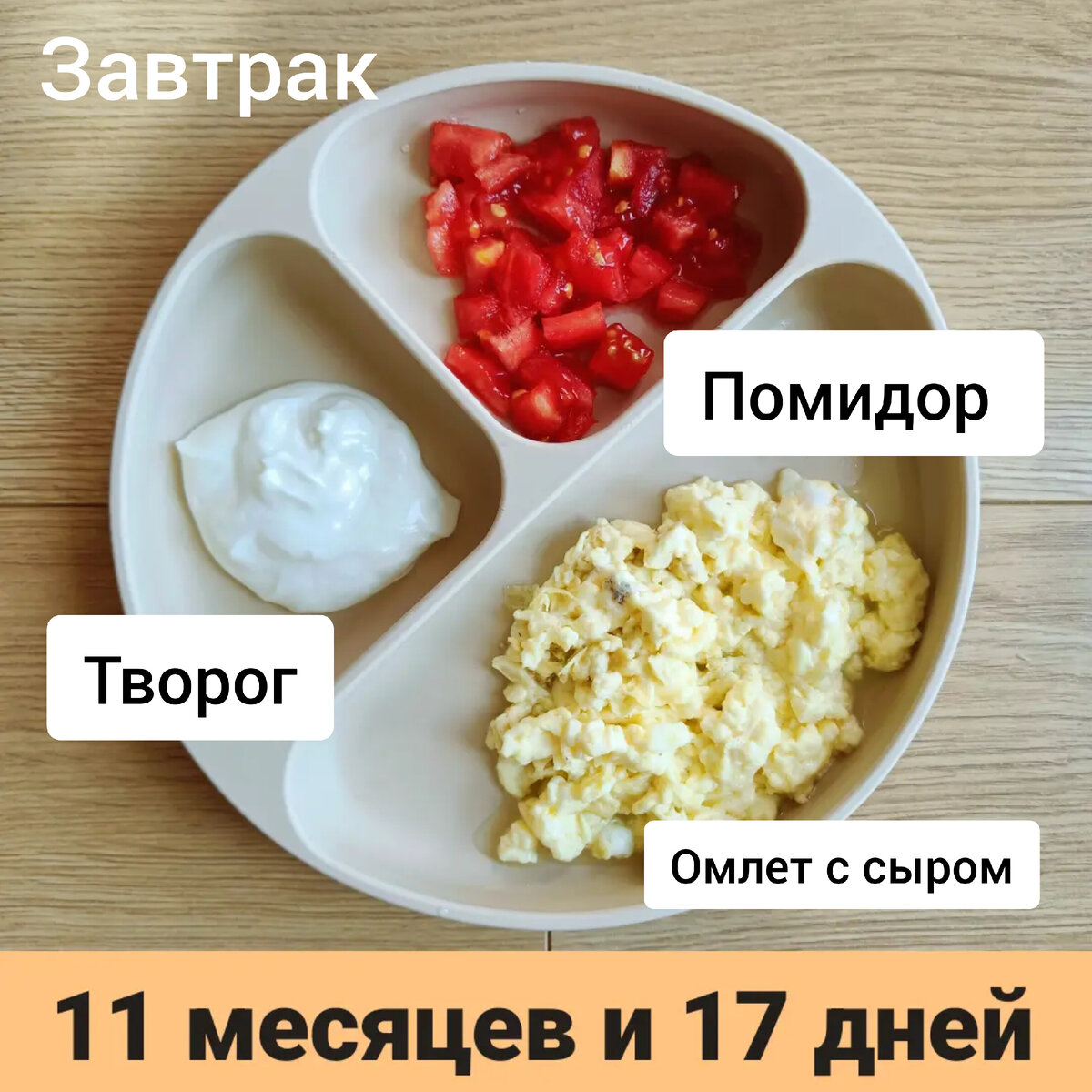 Пример тарелки в 11 месяцев 