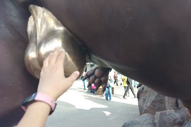    Фото: «АиФ-Урал»/ Дарья Попович