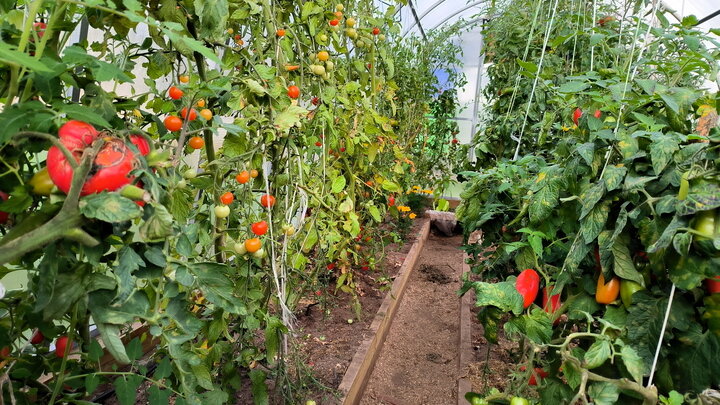 MAKSIM KONSTANTINOV/GLOBALLOOKPRESS