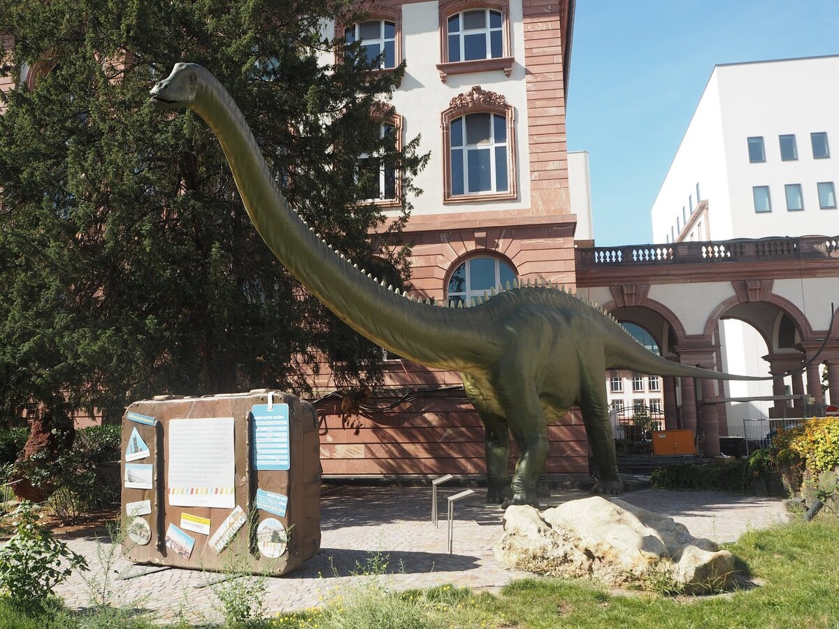 У входа нас встречает диплодок в натуральную величину