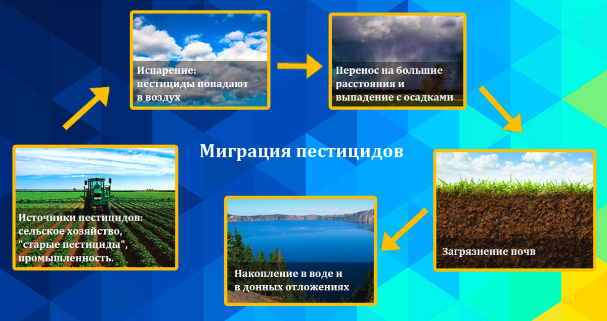 Процессы связанные с почвой. Миграция пестицидов. Пестициды в почве. Загрязнение почвы пестицидами последствия. Загрязнение воды пестицидами.