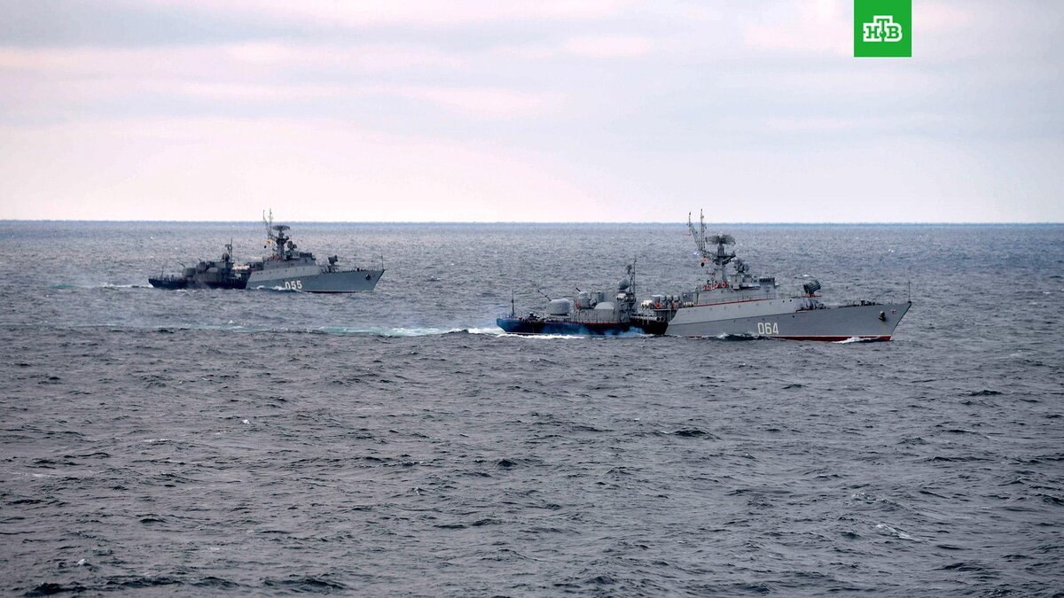    Фото: РИА Новости © 2023, Алексей Дружинин