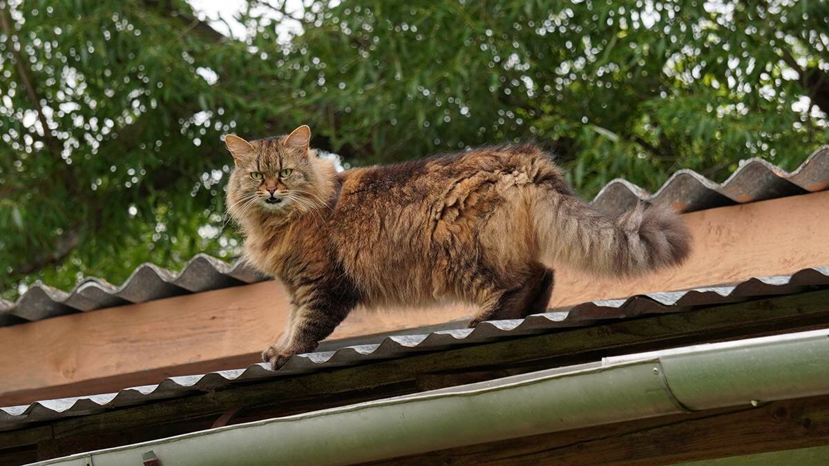    Фото: Анатолий Цымбалюк / Вечерняя Москва