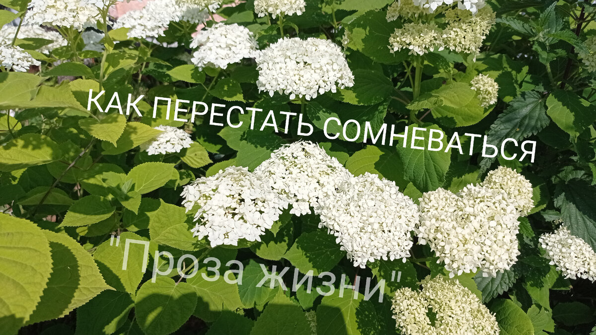 Проза жизни