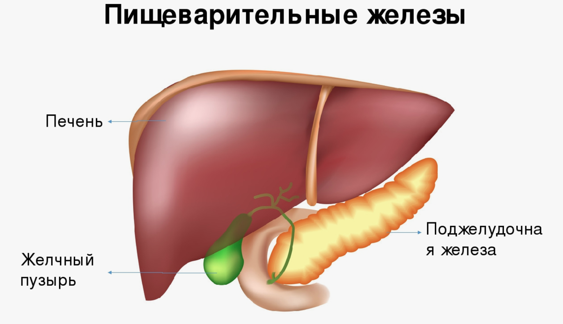 Причины заболеваний желчного пузыря