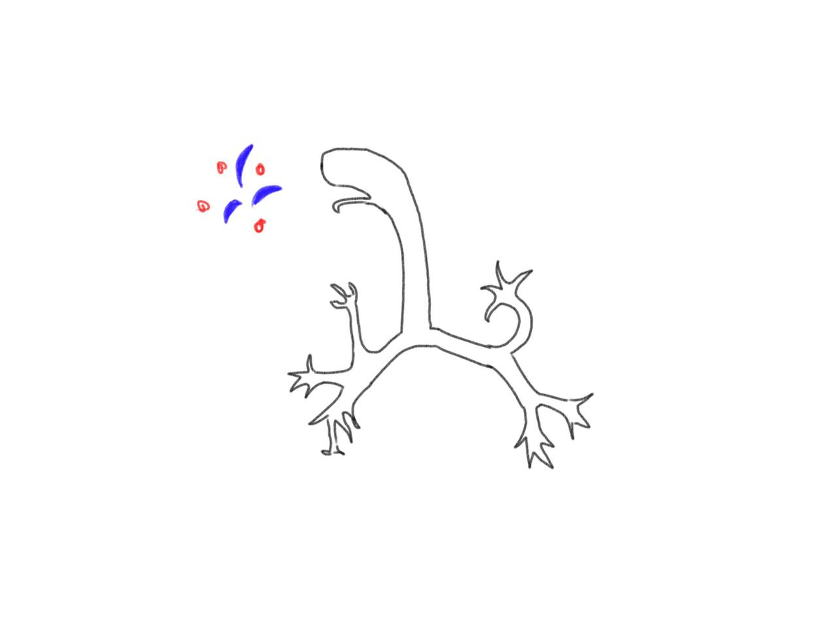 Проникновение патогенных частиц воздушно - капельным путем