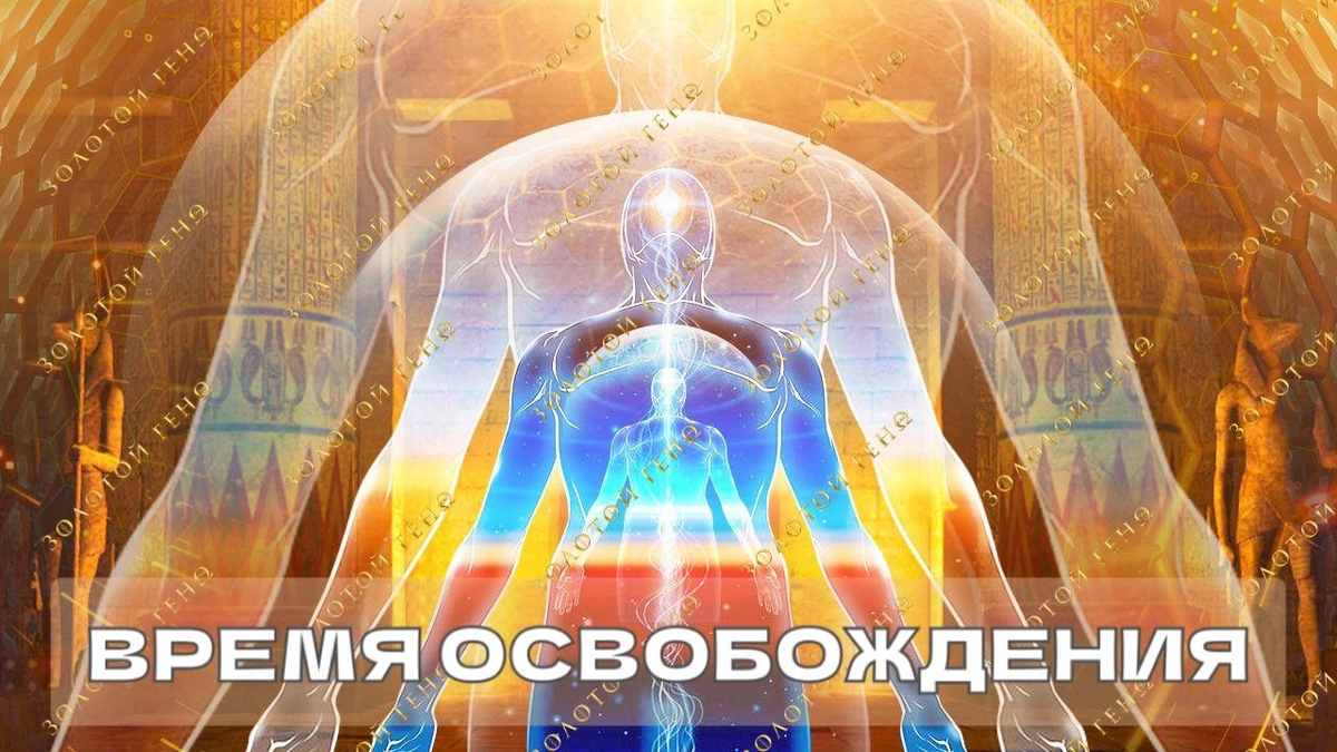 Изображение является трудом мастеров Академии Центр Света 