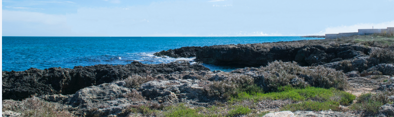Где можно отдохнуть всей семьей.