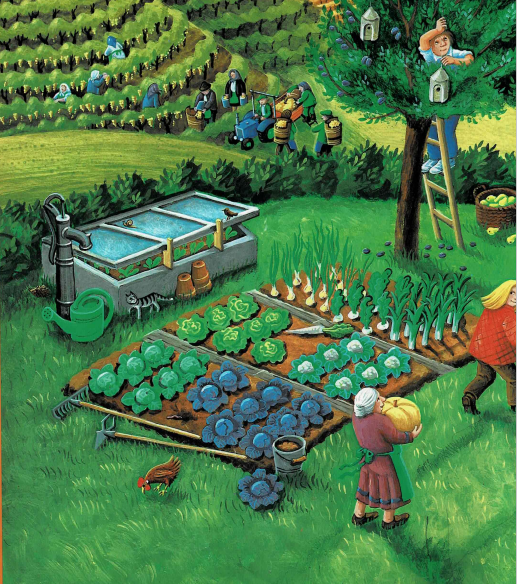 Im Herbst, im Garten