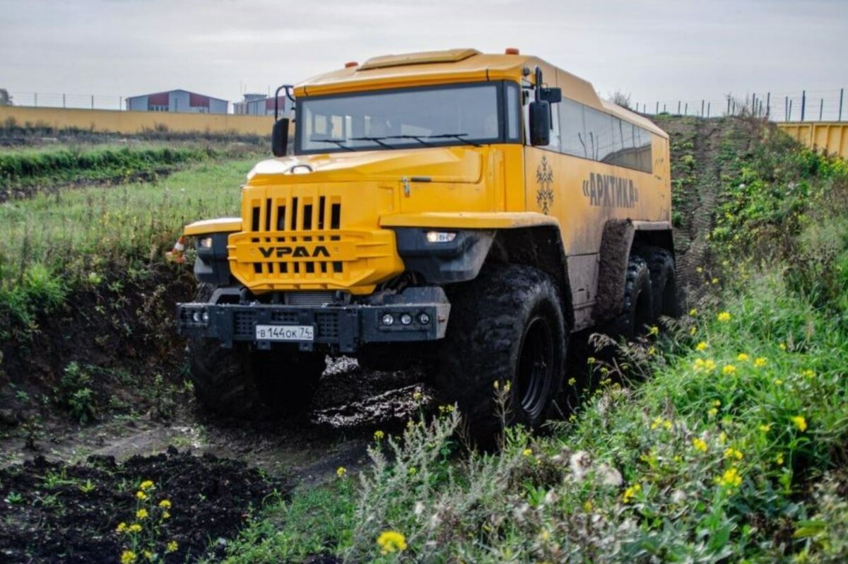 Фото: Сергей Качко / Пресс-служба Южно-Уральского государственного университета  📷
