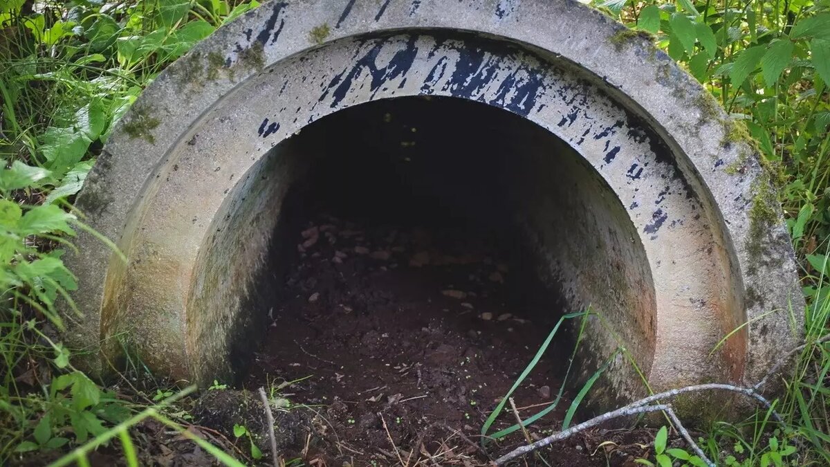     Росприроднадзор потребовал взыскать с банкротящегося Хакаресводоканала еще 26,1 миллиона рублей за негативное воздействие на окружающую среду.