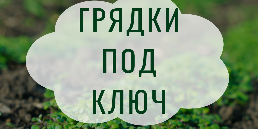Подготовка грядок осенью