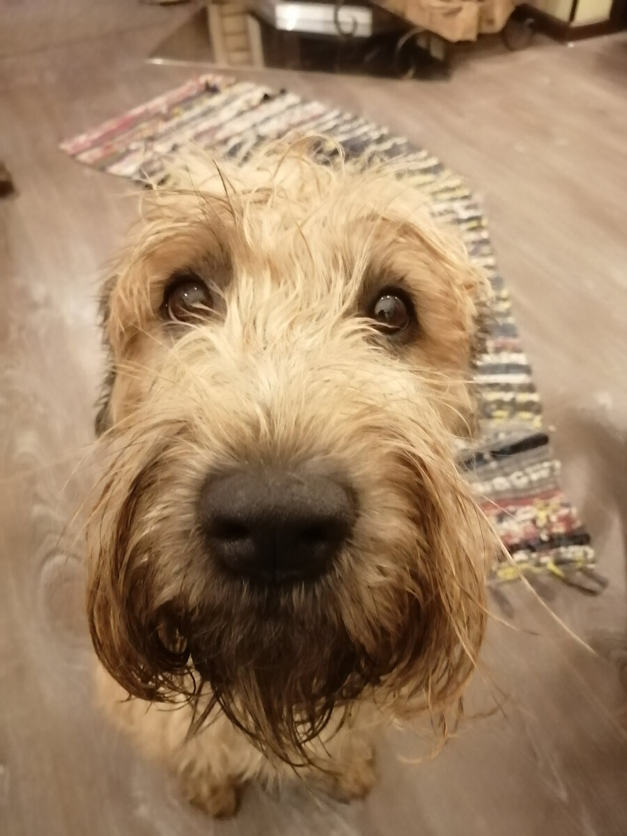 За это можно всё отдать!!!