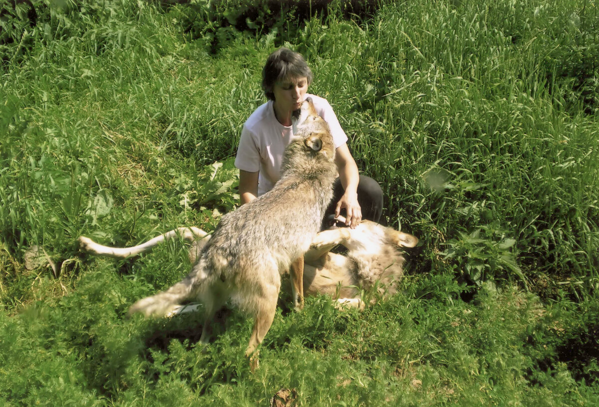 Реабилитационный Центр "Ромашка" работает уже больше 30 лет