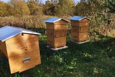    Семейное крестьянско-фермерское хозяйство «ТехноВелес». ©Анастасия Сивякова РИАМО