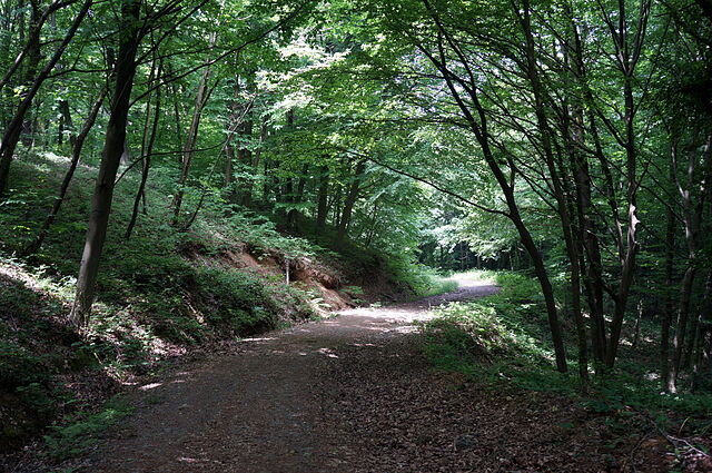 Свои нападения психопат совершал в уединённых местах.