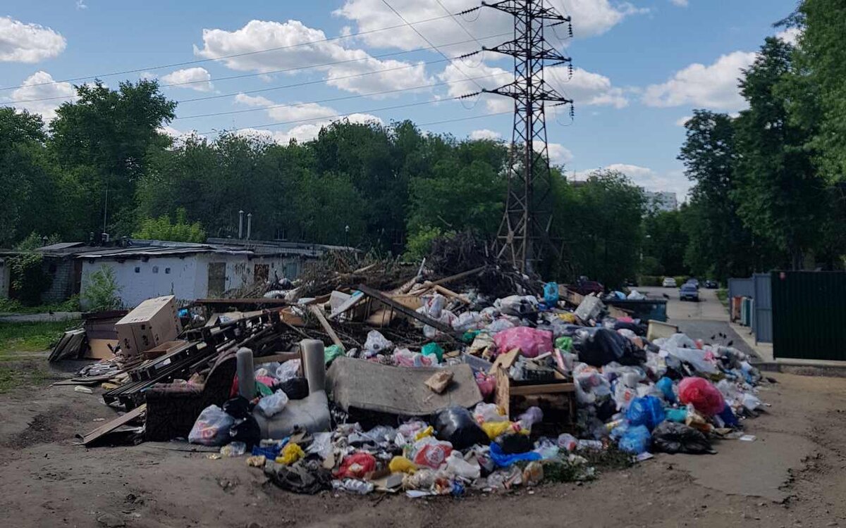    Мусорная реформа в Воронежской области: грандиозные планы и нелицеприятная реальность Фото автора