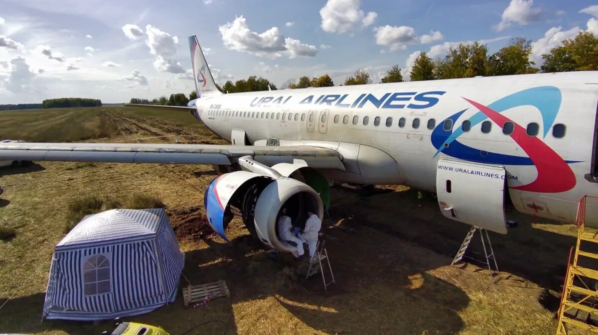 Фото: t.me/uralairlines_official