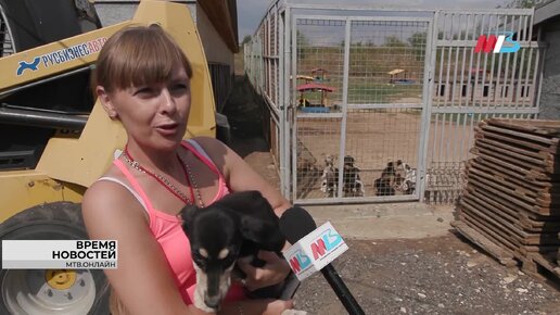 Первые дни четвероногого друга в новой семье, уникальный шнуровой пудель и обитатели горпитомника в поисках своего хозяина